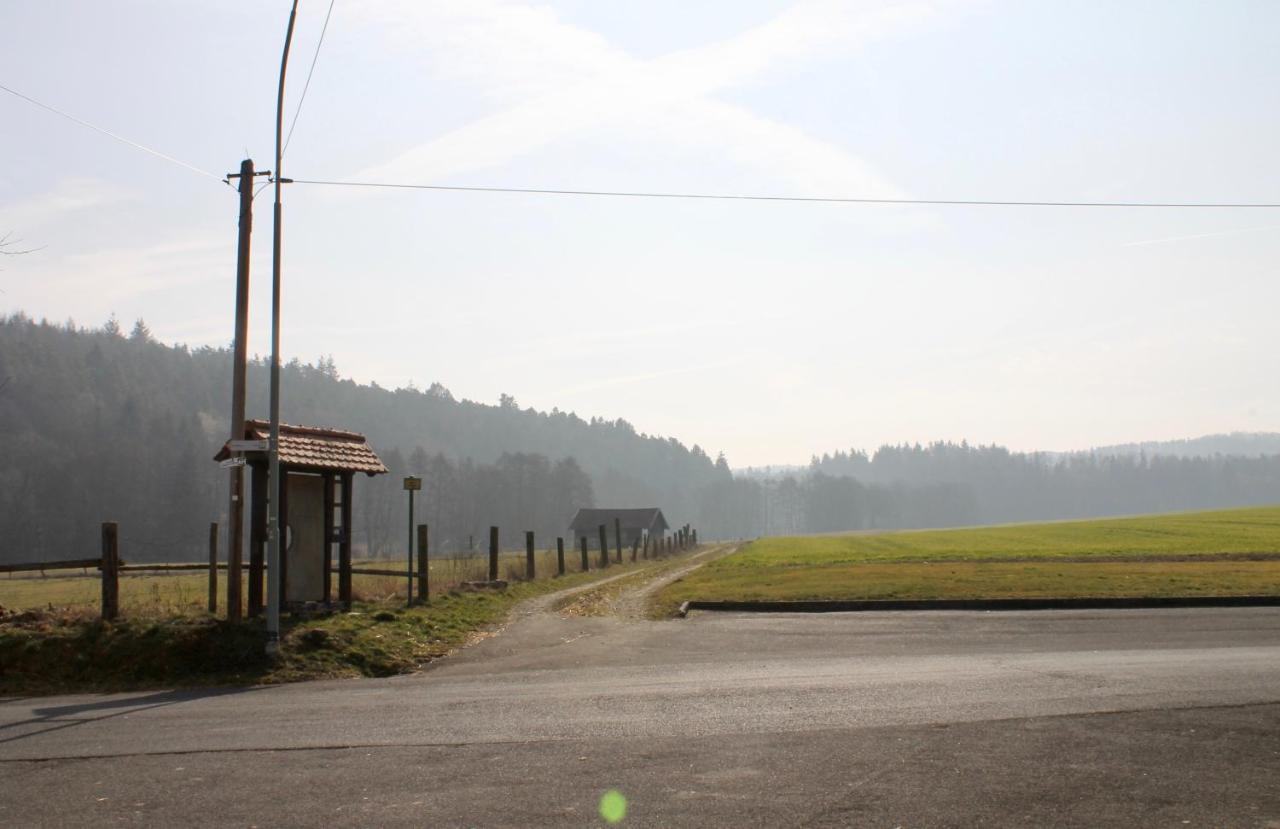 Gasthaus Zur Hardtmuehle Alsfeld Ngoại thất bức ảnh